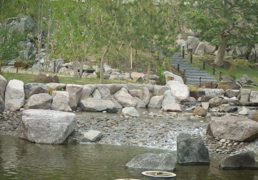 ⑨二子玉川公園　Ｈ25.5.10 067