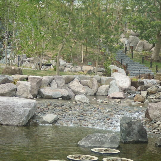 ⑨二子玉川公園　Ｈ25.5.10 067
