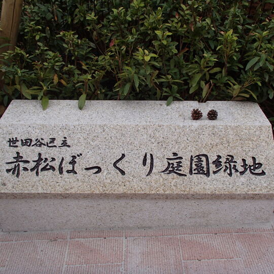 赤堤　園名石